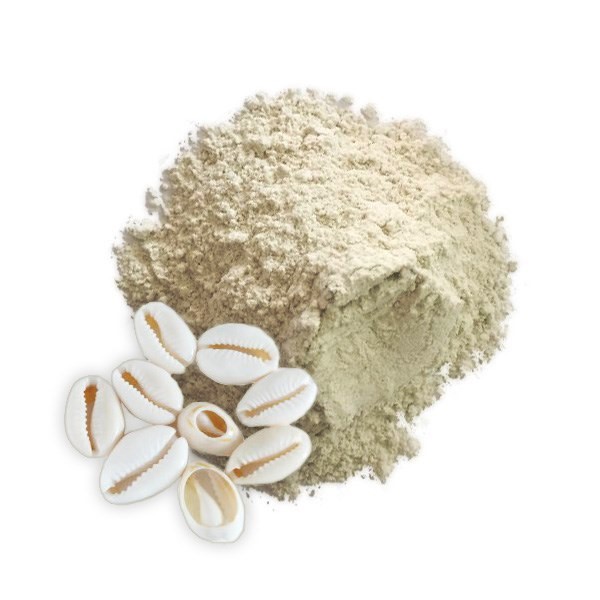 Seashell Powder