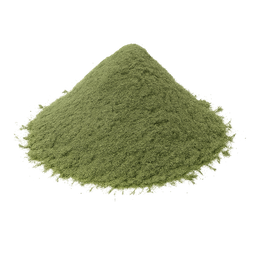 [GBP-09251] Ginkgo Biloba Powder